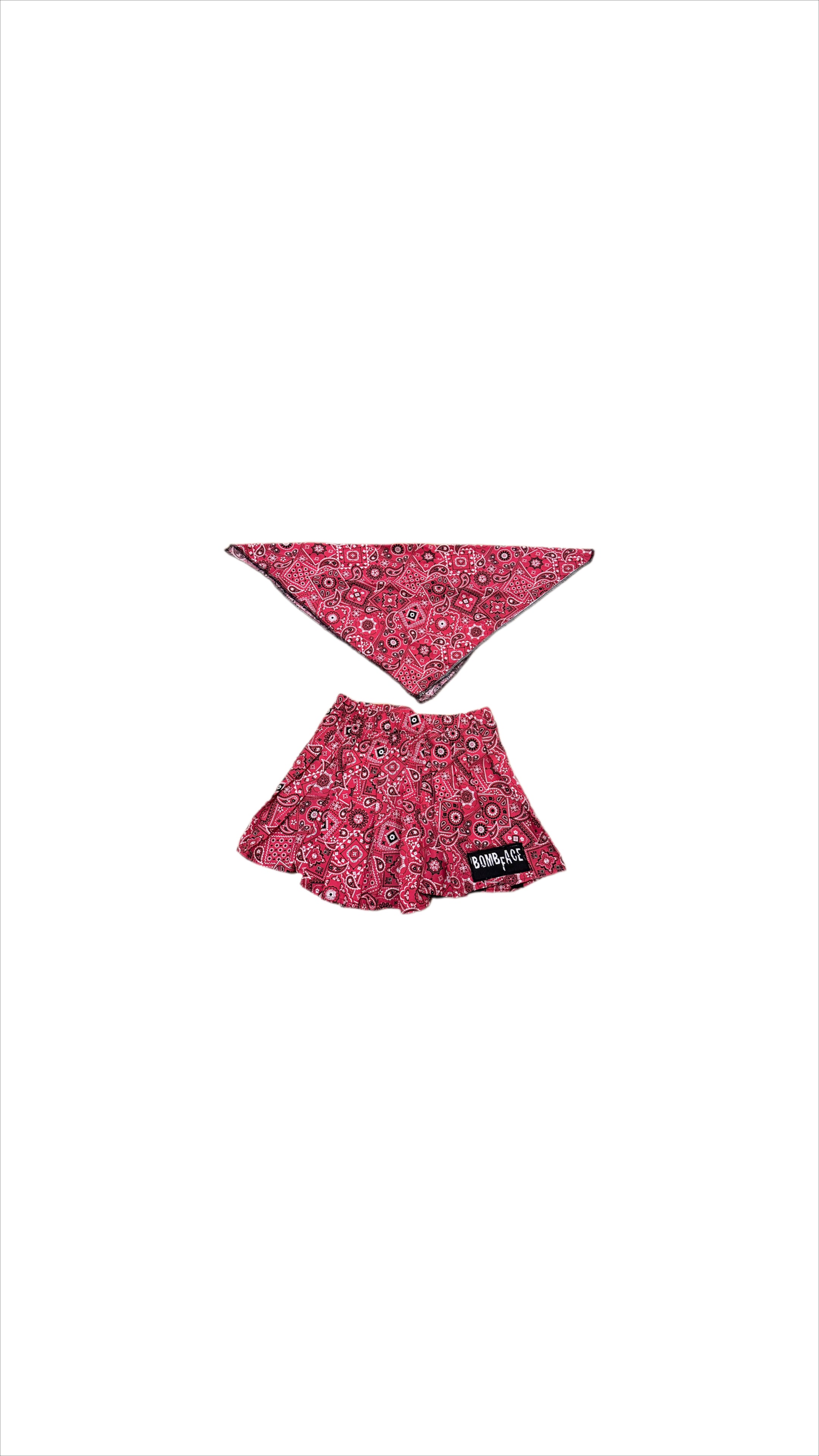 Custom Pink Paisley Skirt & Bandana